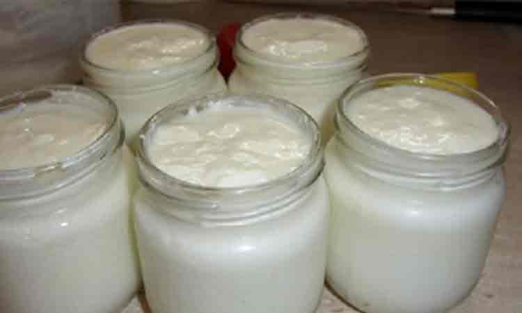 800 ml de lapte si 2 linguri de iaurt cremos – asa iti faci cel mai bun iaurt de casa. Pregatiti borcanelele.